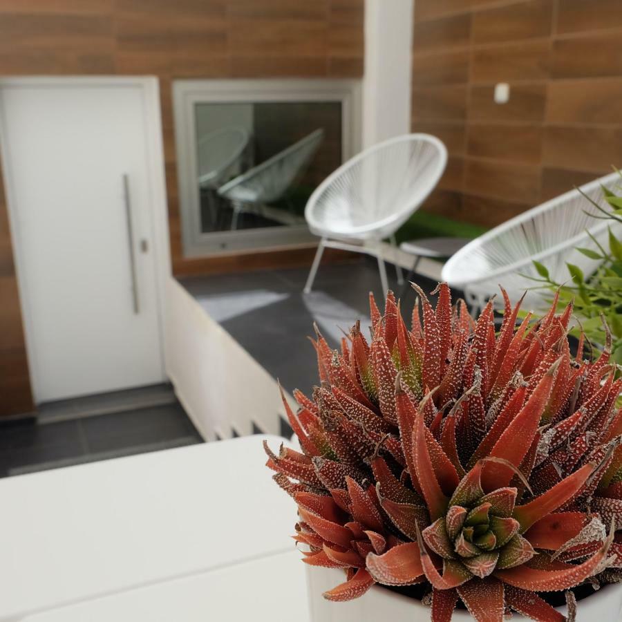 הוילה סן מיגל דה סלינאס Ebli House מראה חיצוני תמונה